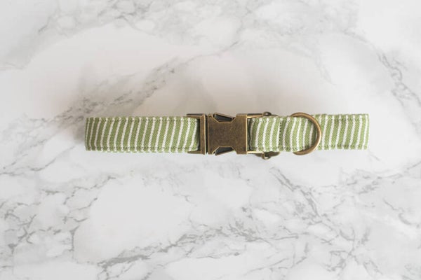Collar - Matcha Green