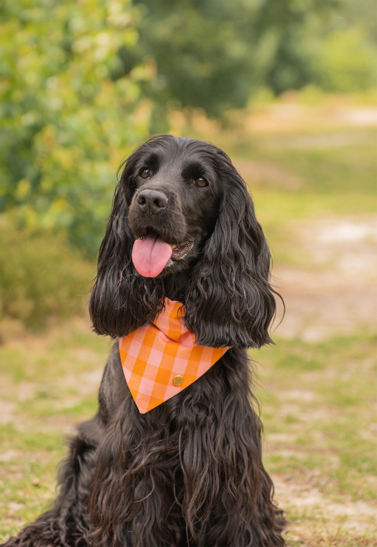 Bandana - Peaches & Picnic