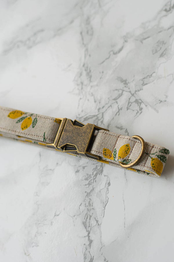 Collar - Touch of Lemon