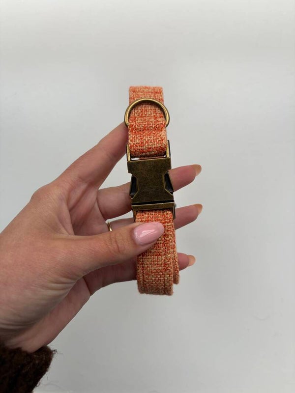 Collar - Orange