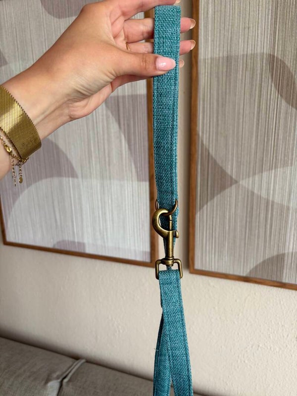Leash - Teal
