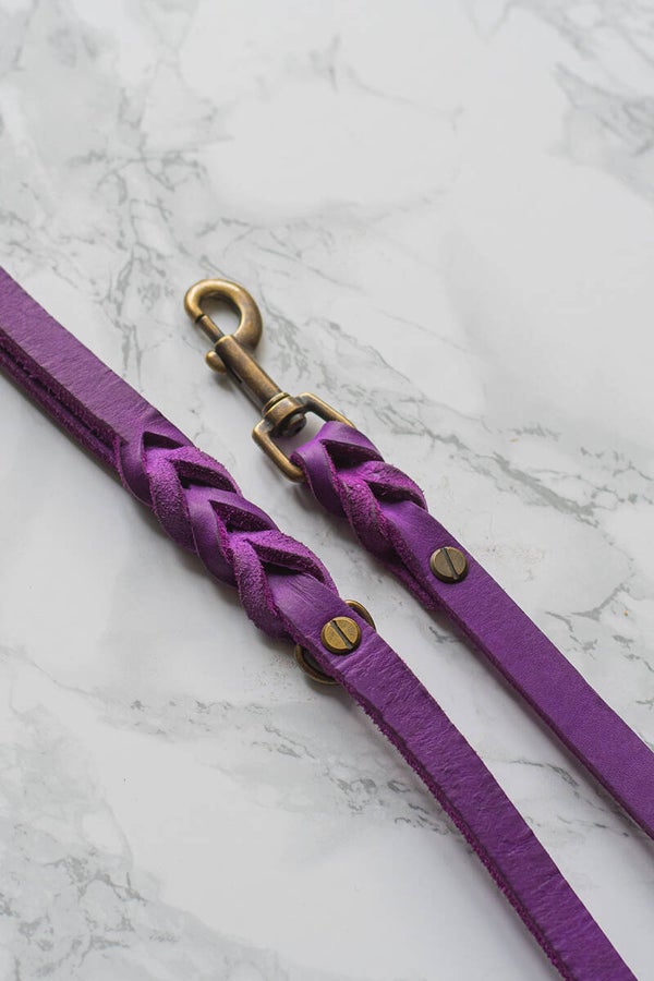 Braided Leather Leash