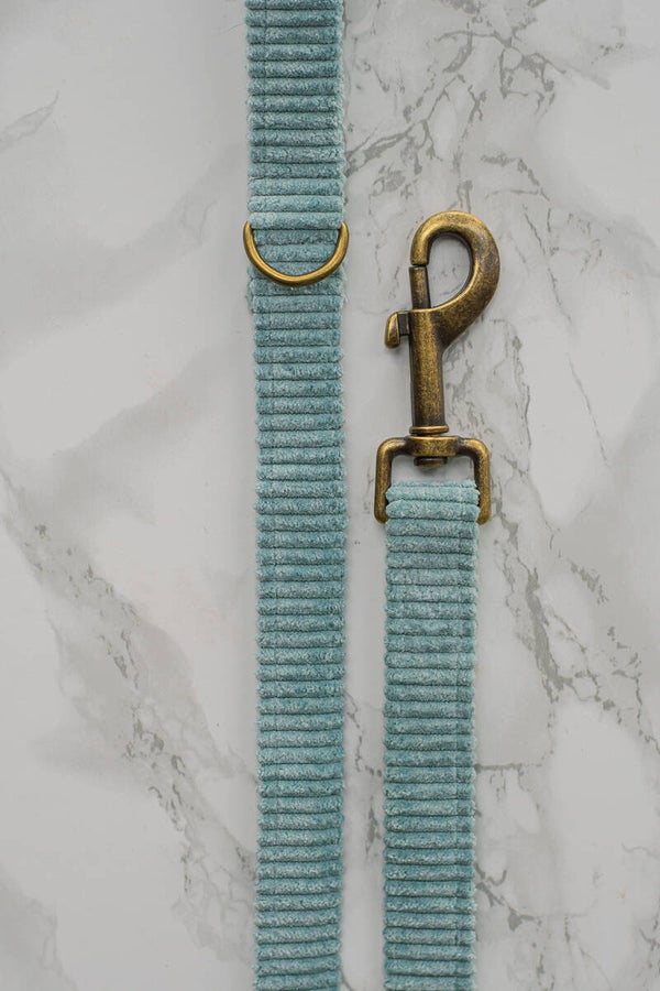 Leash - Minty Blue