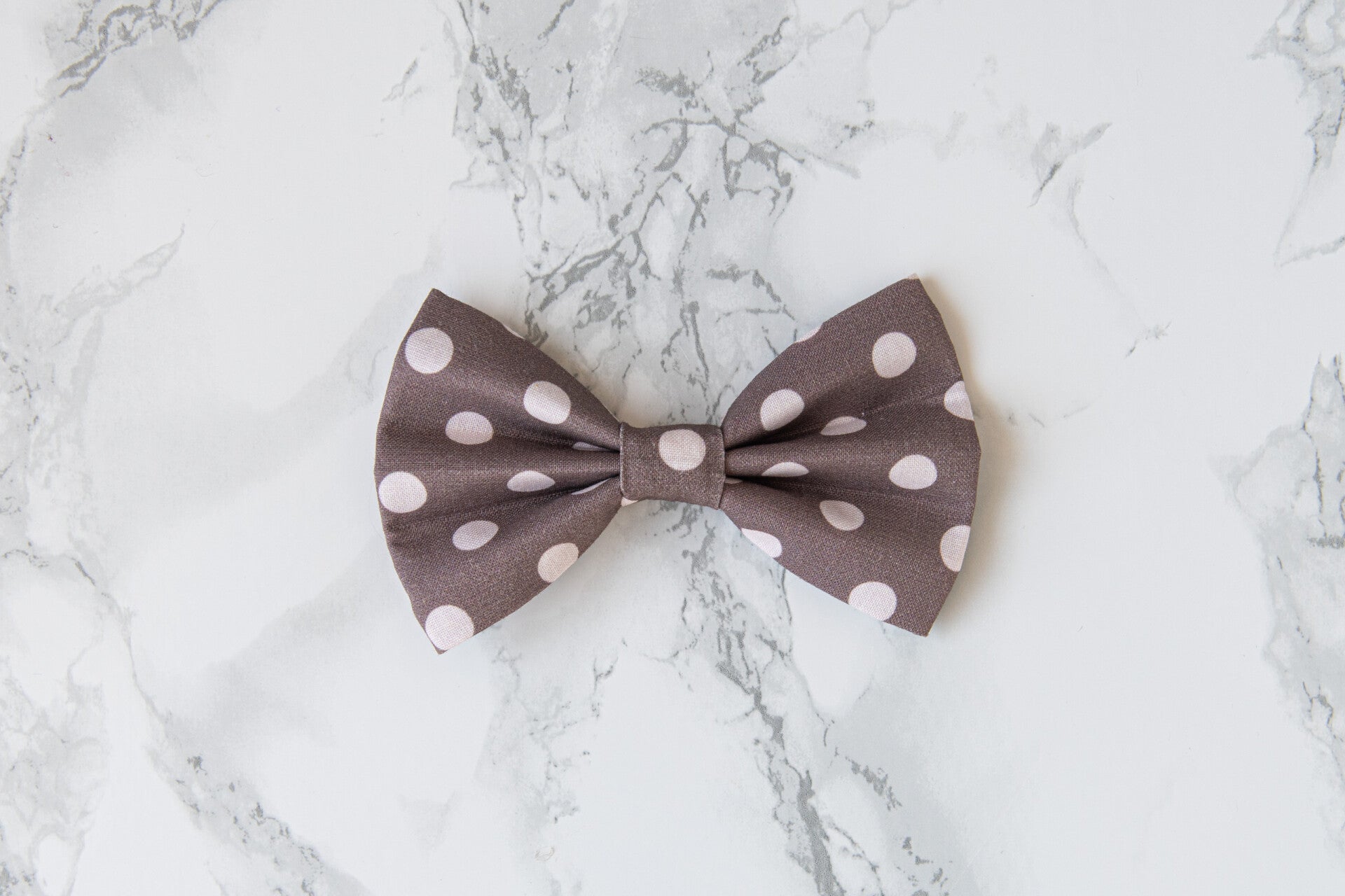 Bow - Polka Dots Brown