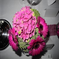 dscn1488-standard-xgg3xh.jpg