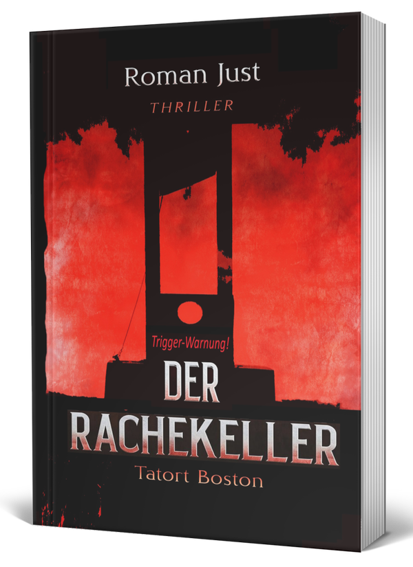 02 Taschenbuch: Der Rachekeller  - Thriller - Tatort Boston 2