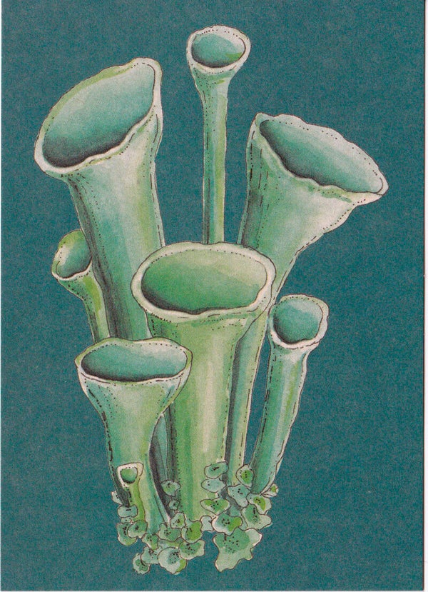 Postkaart "KORSTMOS"