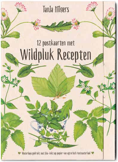 Set 12 Postkaarten met Wildplukrecepten