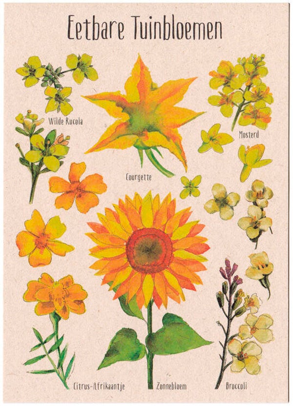 Postkaart "Eetbare Tuinbloemen geel"