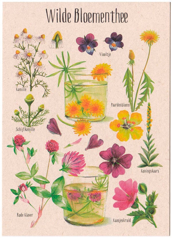 Postkaart "Wilde Bloementhee"
