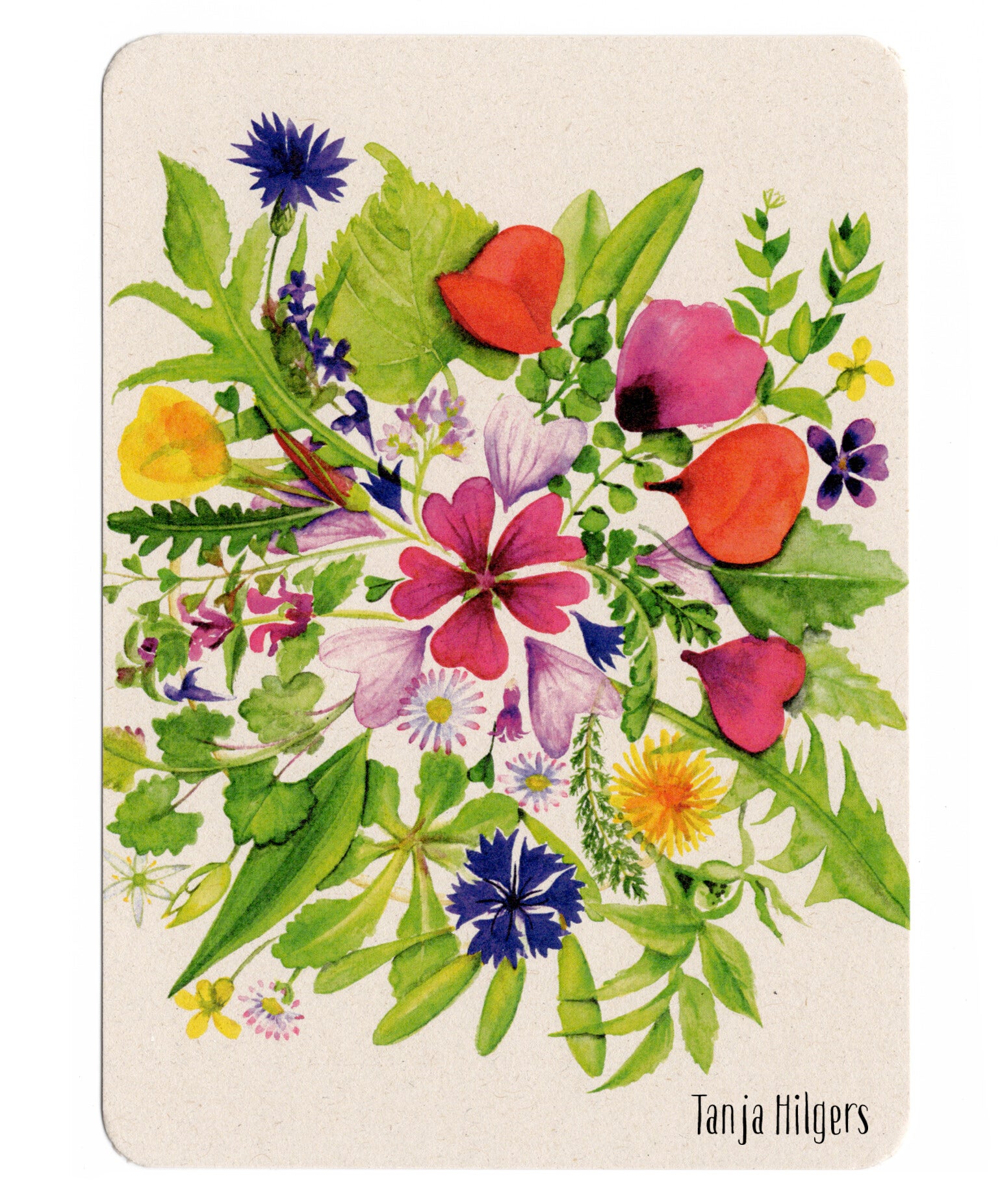 Postkaart Wildpluk Mandala