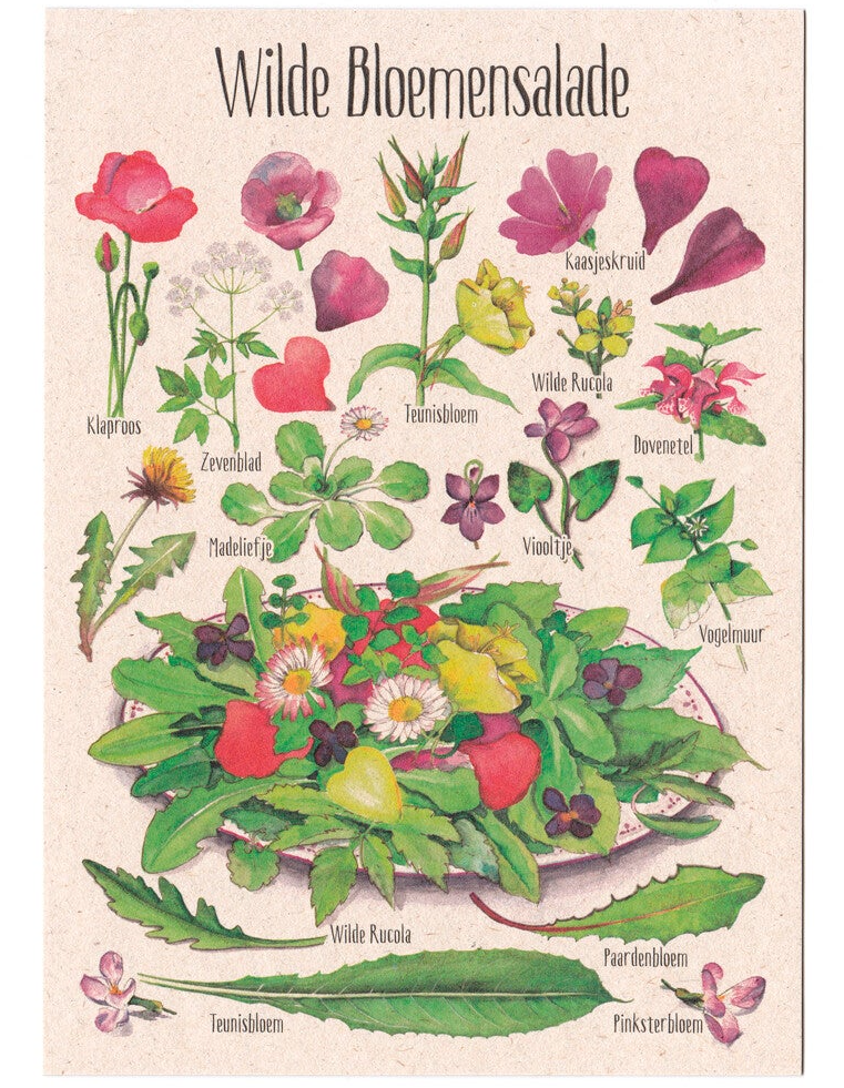 Postkaart "Wilde Bloemensalade"