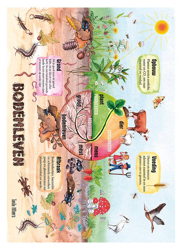 Poster Bodemleven 25x35