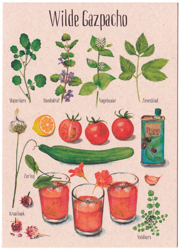 Postkaart "Wilde Gazpacho"