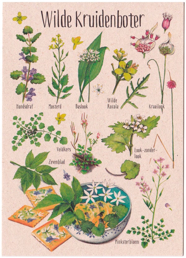 Poster "Wilde Kruidenboter"