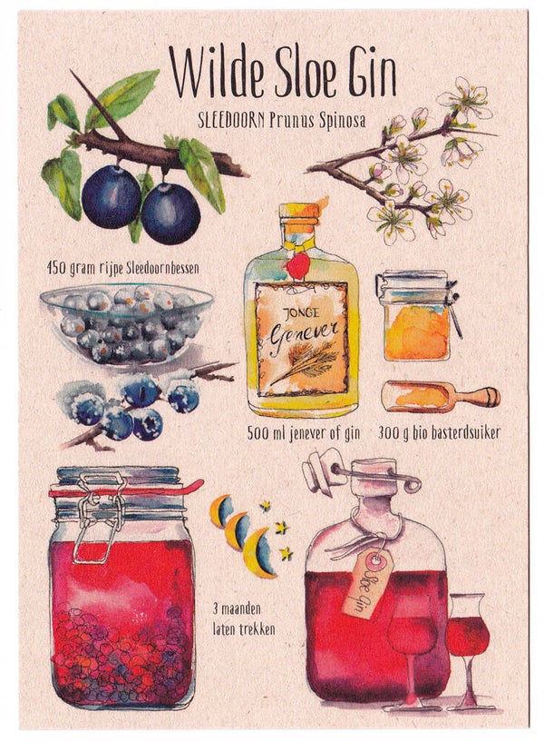 Postkaart "Wilde Sloe Gin"