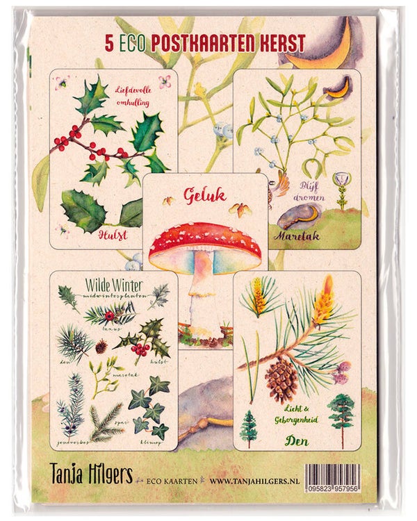 5 ECO Kerstkaarten planten
