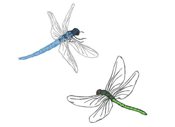 Stickmotive Libelle farbig