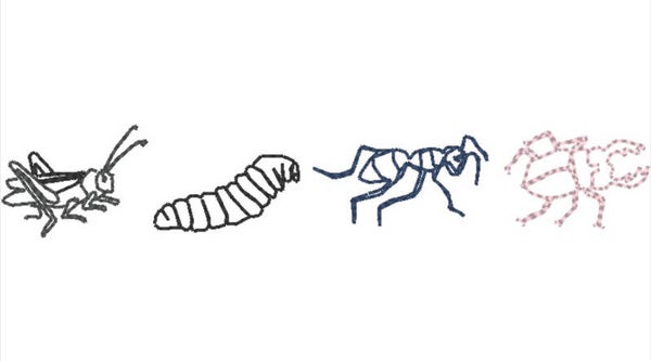 Stickmotive Insekten Straße