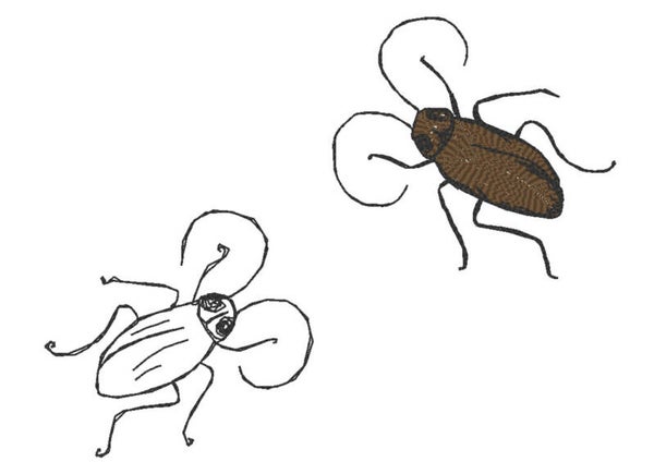 Stickmotive Kakerlacke