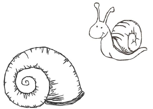 Stickmotive Schnecke