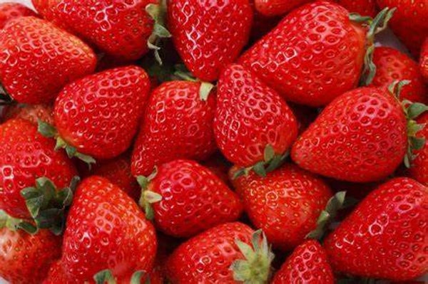 Fraise CLERY 500 gr