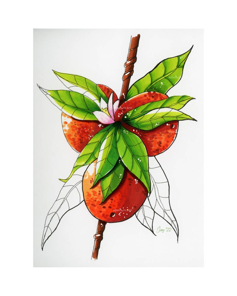 Alcohol markers sinaasappels