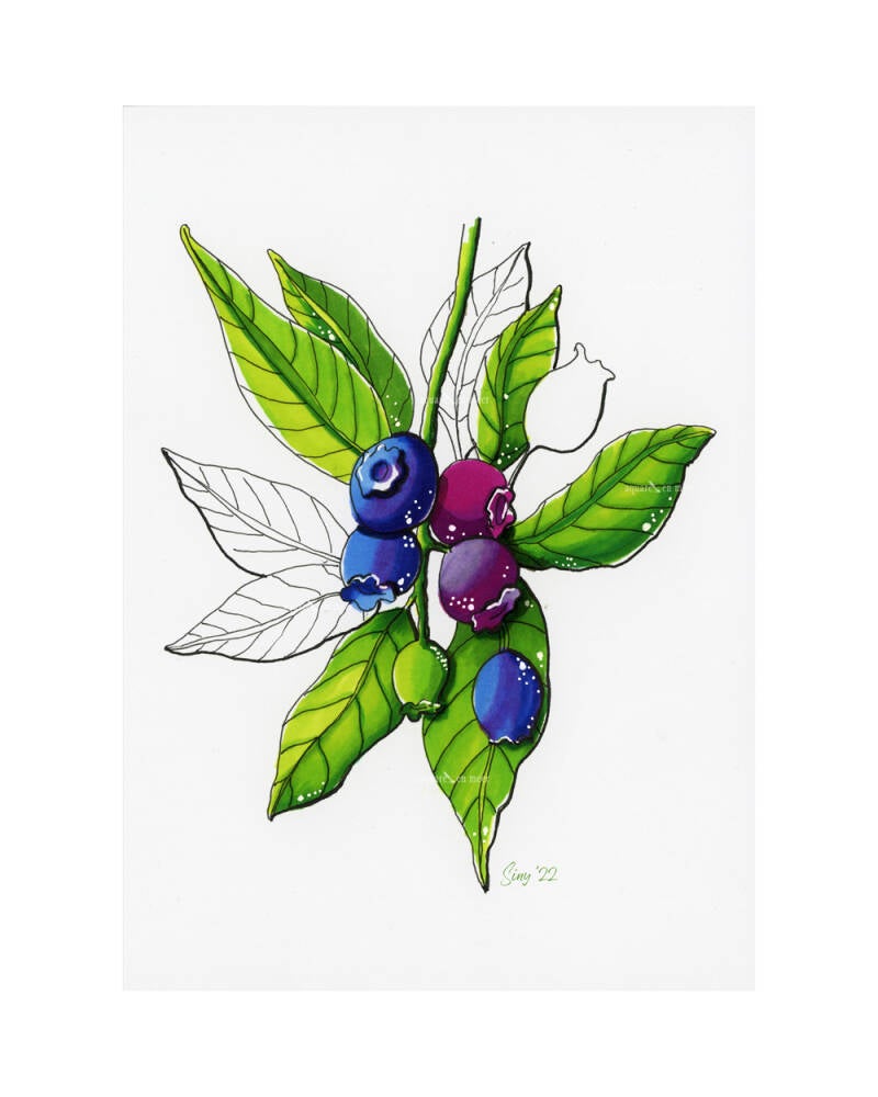 Alcohol markers bosbessen