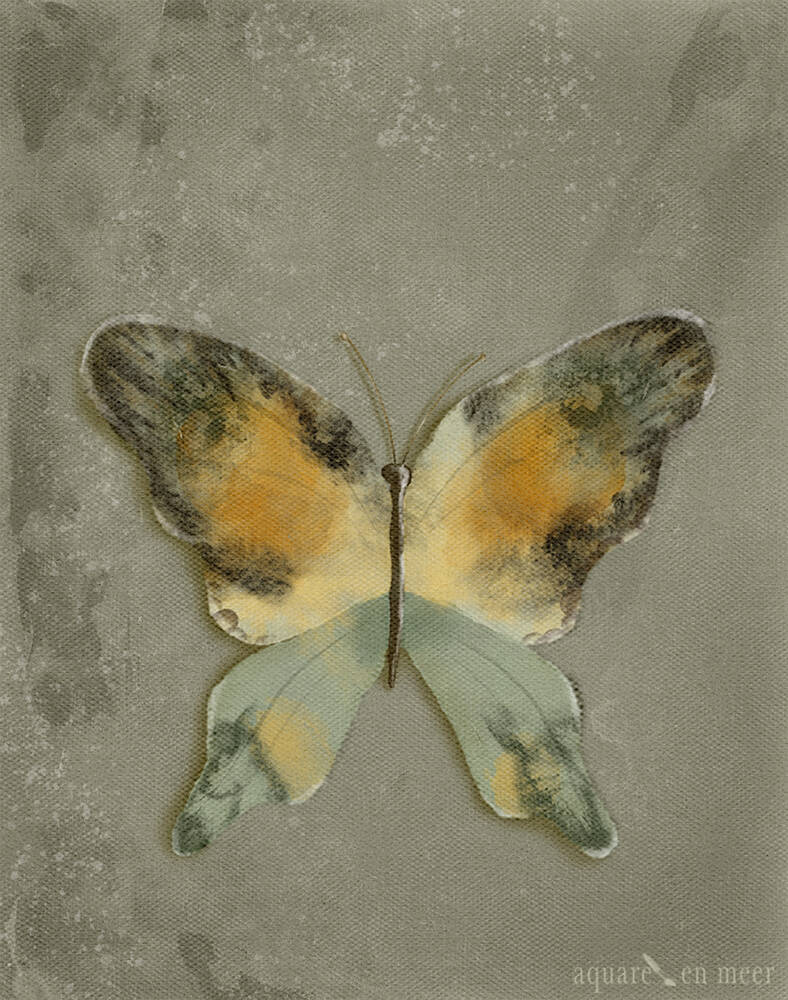 Gratis download vlinder