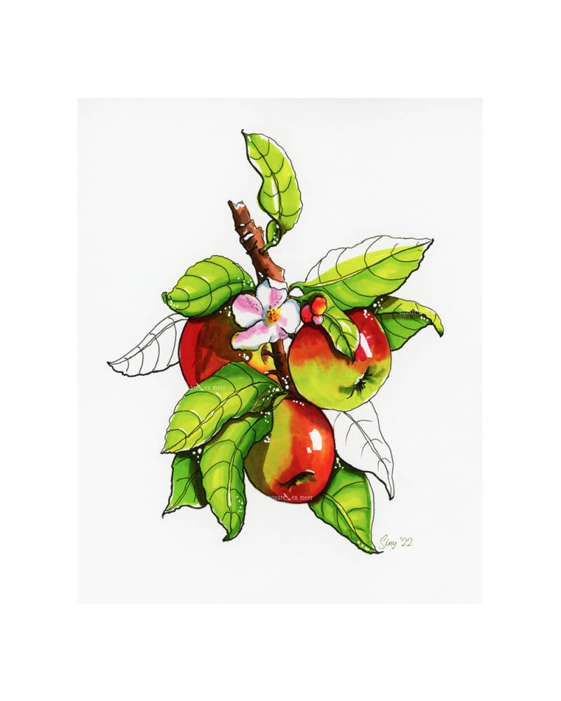 Alcohol markers appels