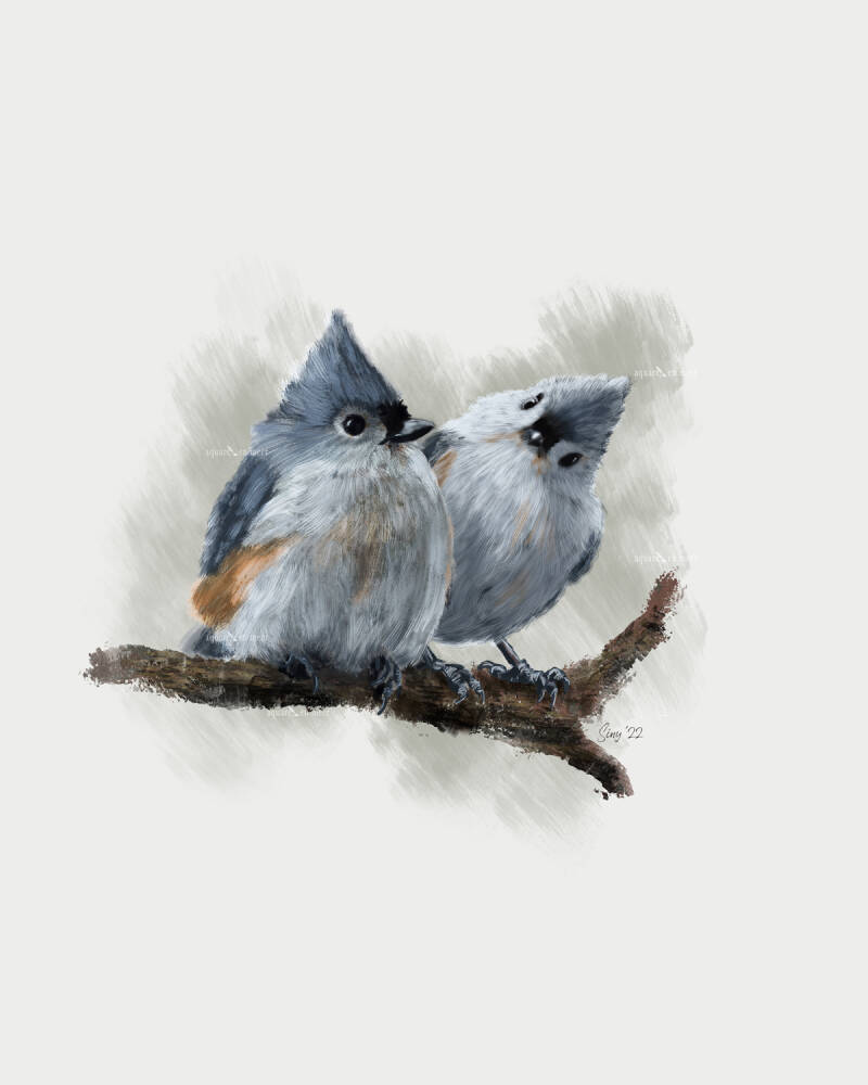 Digitaal geschilderde vogels