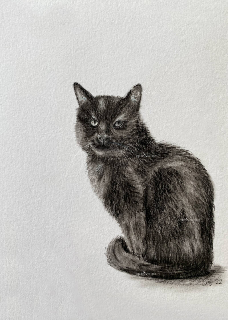 Eigen werk: houtskool/grafiet