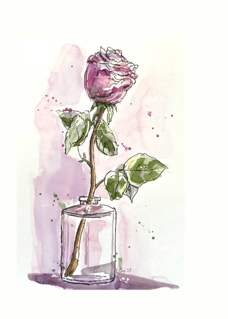 Roos op vaas, line and wash