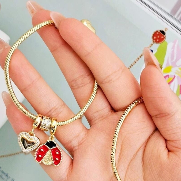 Pandora catarina