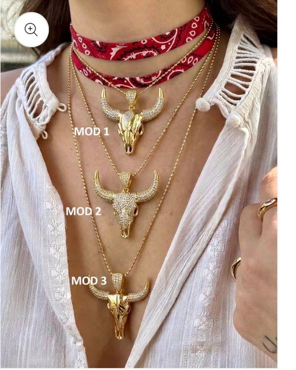 Collar toro (eligue el modelo )