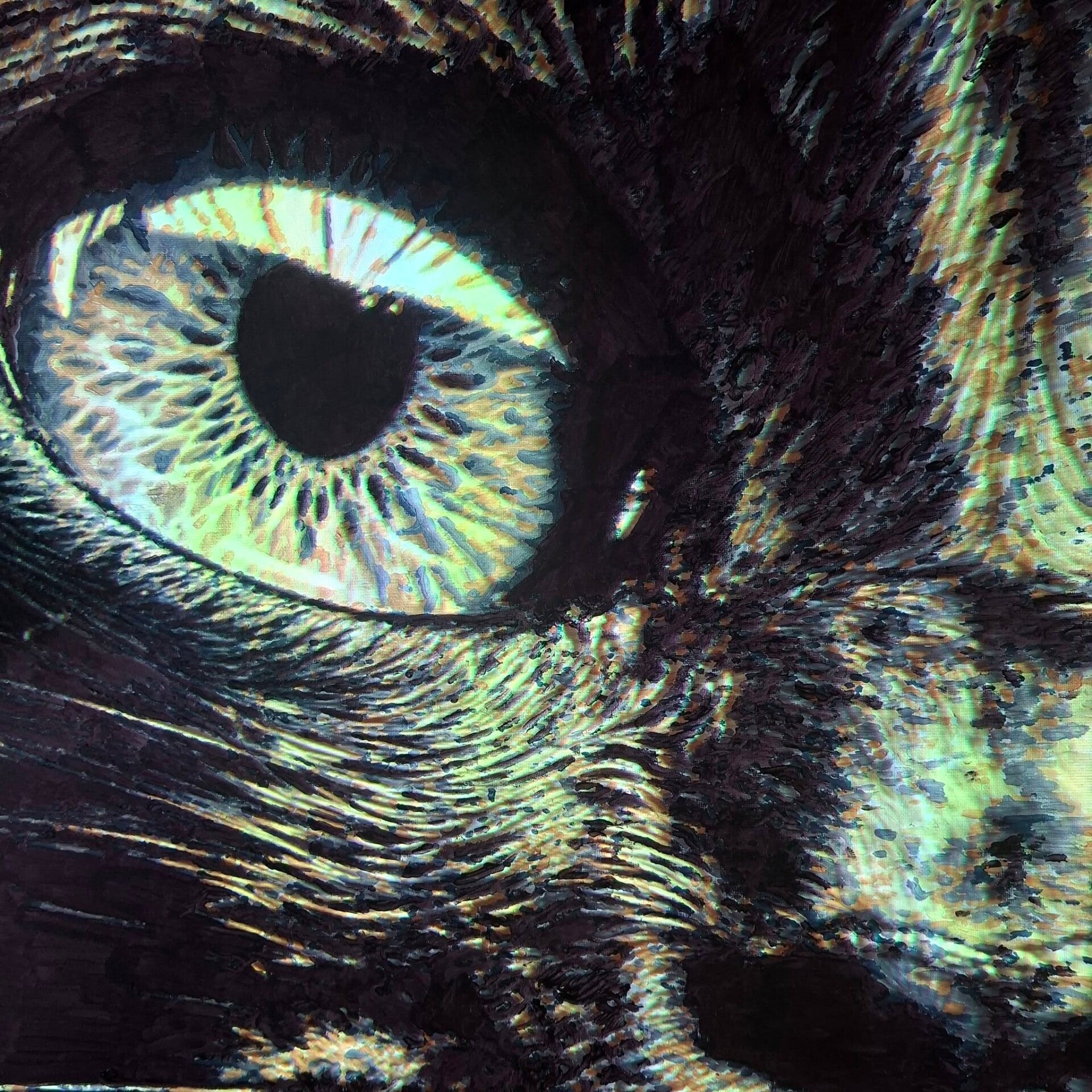 Gedetailleerd kattenoog schilderij gemaakt zonder ervaring met het VULLOW projectiesysteem bij THILS