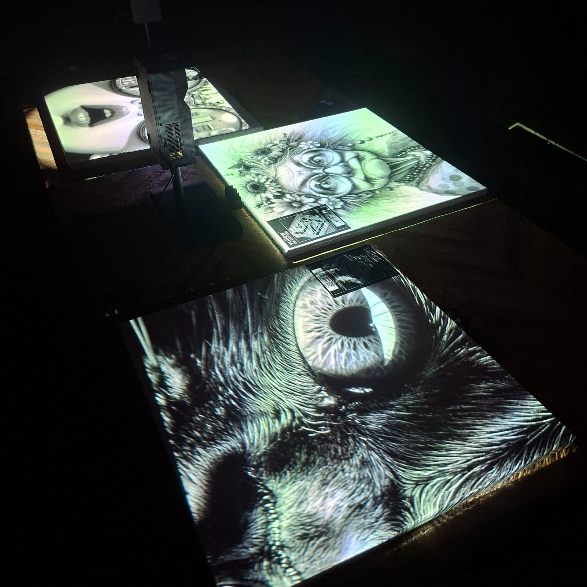 Projectie van een dierenoog tijdens een schilderworkshop bij THILS in Lichtenvoorde