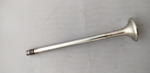 Auslassventil 11341461952