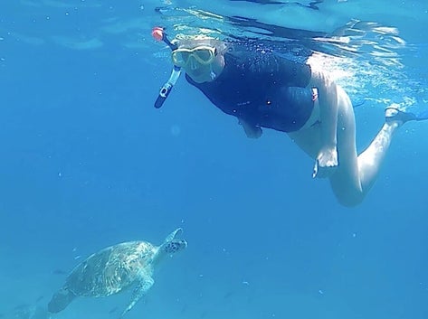 sao-vicente-turtles