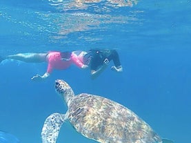 swimming-turtles-cape-verde