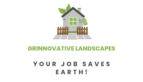 New lawn installation quote Sutton