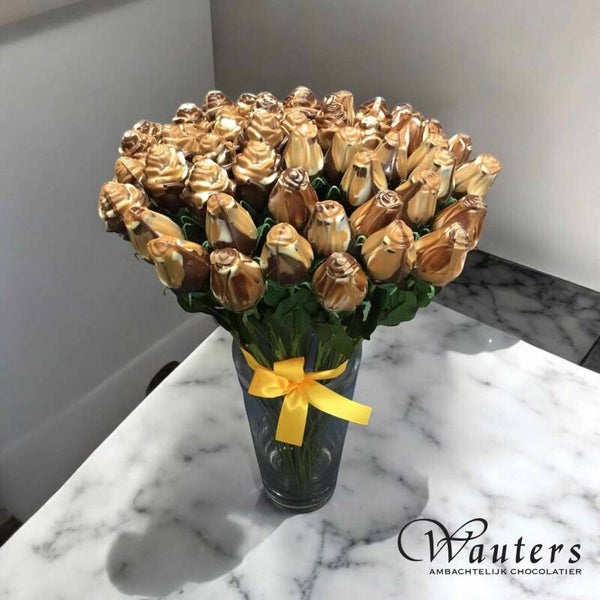 Tulpen uit ... Sint-Niklaas 🌷🌷🌷(*)