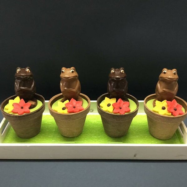 Froggy - bloempotje 🐸 (*)