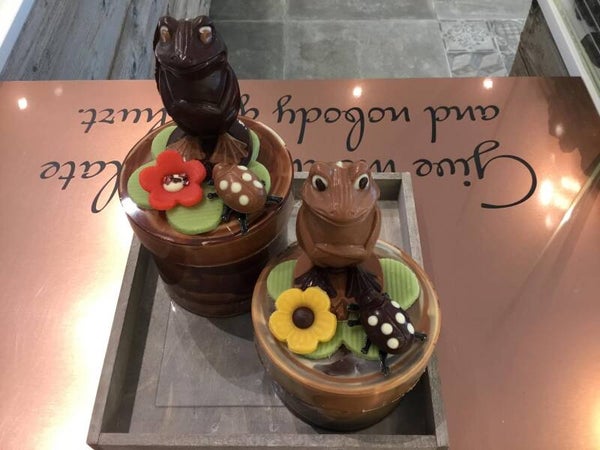 Froggy box M of L (*)