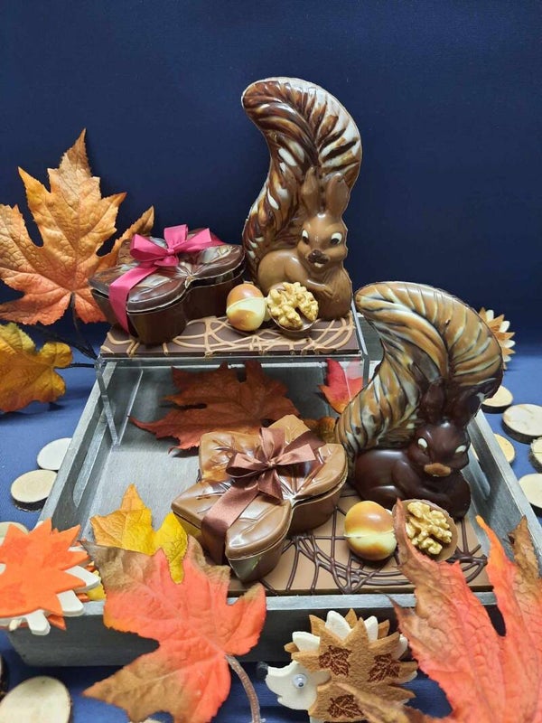 Herfstblad + Eekhoorn (*)