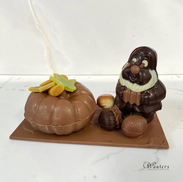 Pompoen + kabouter (*)