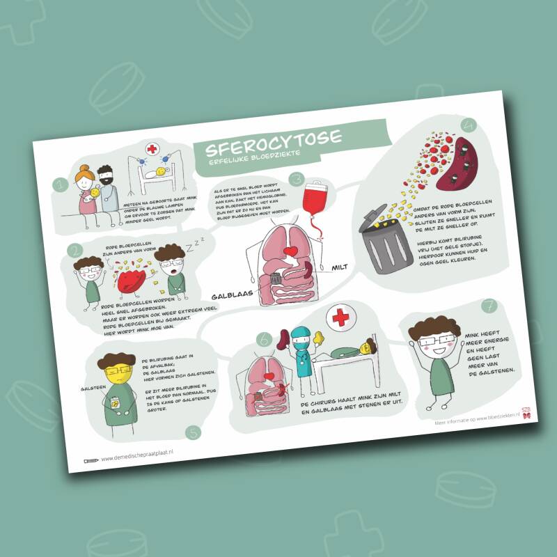 Medische praatplaat Sferocytose