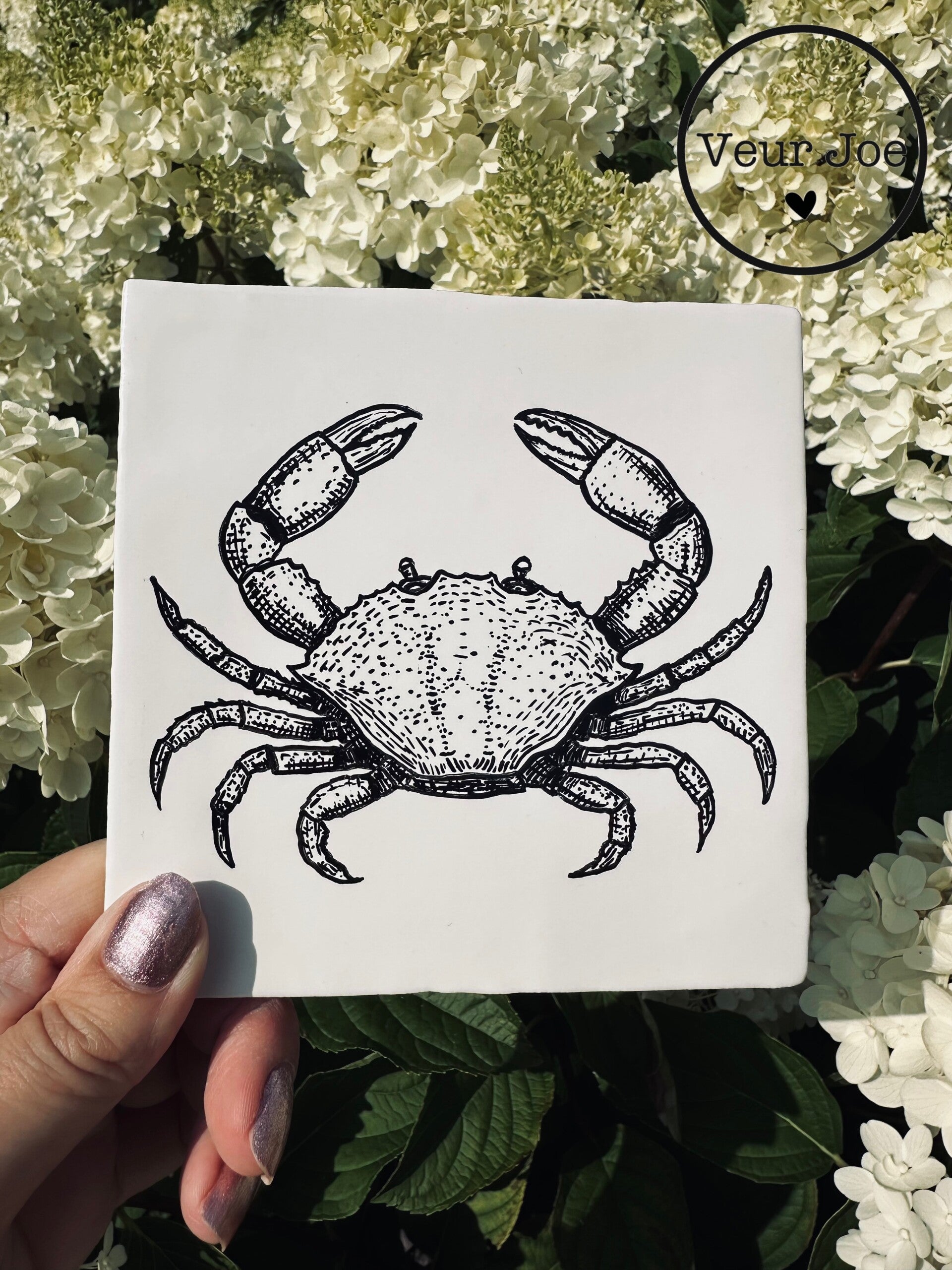 Krab