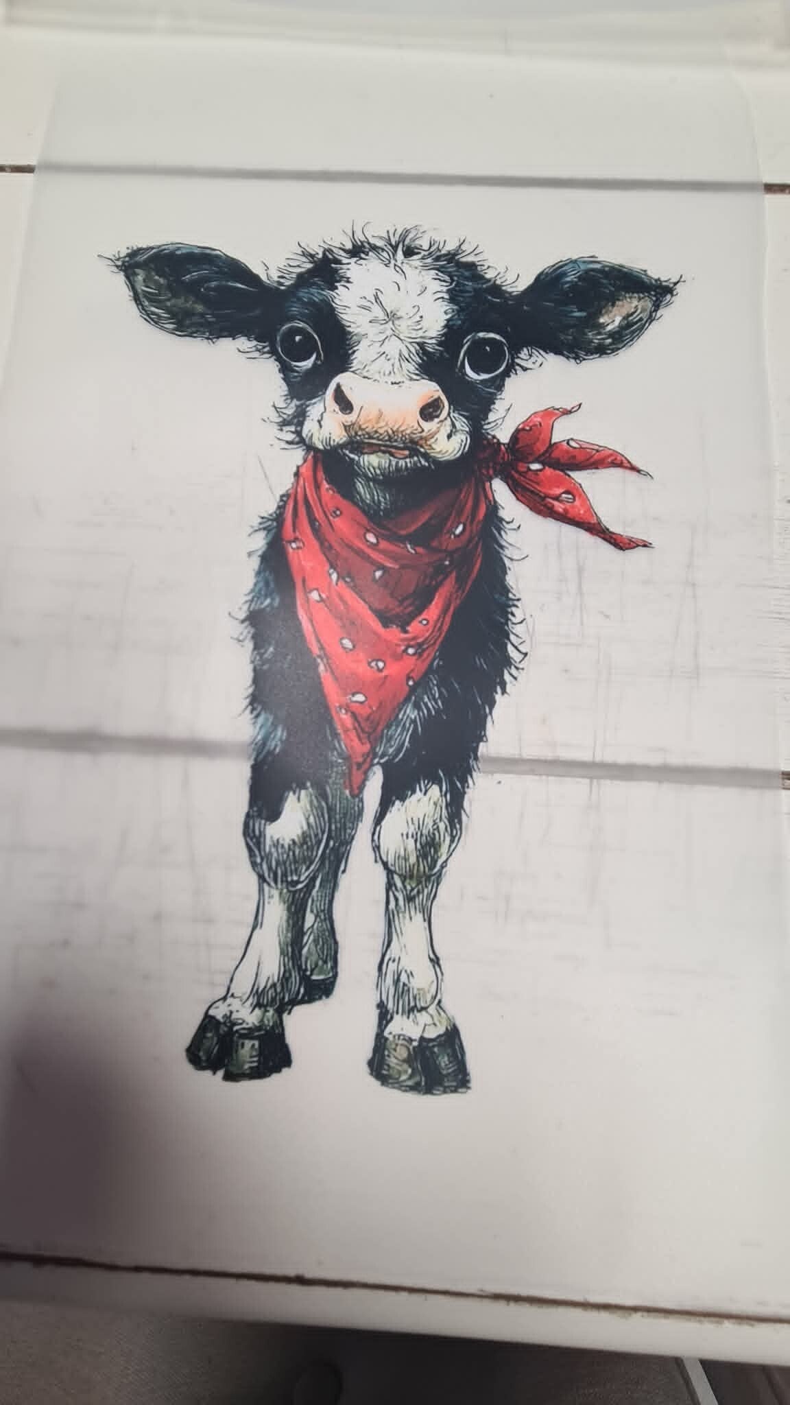 koe met bandana
