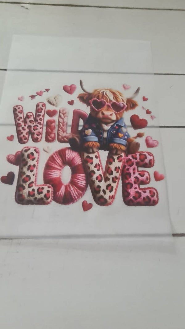 hooglander wild love